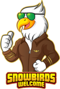 SnowBird_Logo_web3